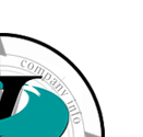 Company Info